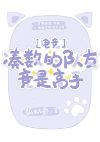 数学的凑数是什么意思