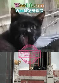 短篇小说小说