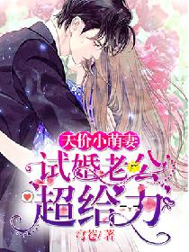 天价小萌妻：试婚老公超给力