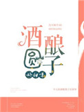 酒酿圆子官方旗舰店